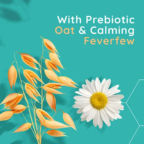 Image 1 - A cluster of orange oat-like plant leaves surrounds a white daisy flower on a turquoise background, with the text With Prebiotic Oat & Calming Feverfew.
              Image 2 - A bottle of Aveeno Calm+Restore Nourishing Oat Cleanser, with a pump top, on an orange background, displaying text that states Dermatologist tested, For sensitive skin, and Fragrance free.
              Image 3 - A close-up image of a person with long, wavy red hair and freckles, showing their face with a natural, dewy complexion, along with visible text that reads Gently cleanses & hydrates to preserve the skins moisture barrier.
              Image 4 - A smiling woman with medium skin tone applying a cream to her face, beside a bottle of Aveeno Calm + Restore Nourishing Oat Cleanser, with text that reads CLINICALLY PROVEN TO NOURISH SKIN FOR THE CLEANSER.
              Image 5 - Aqua-colored background with a white graphic of a water droplet and a checkmark, featuring the text Dermatologist Tested and the brand name Aveeno in the top right corner.
              Image 6 - A teal background features a white droplet icon with sparkling accents, accompanied by the text that reads GENTLY CLEANSes & HYDRATES, and the Aveeno logo is positioned at the top right corner.
              Image 7 - A bottle of Aveeno Calm + Restore Nourishing Oat Cleanser for sensitive skin is displayed with a light blue background and hexagonal shapes, featuring the text FOR SENSITIVE SKIN and FRAGRANCE FREE.