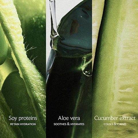 Image 1 - A close-up image features three vertical sections showcasing green plant ingredients: on the left, soy proteins with the text Soy proteins RETAIN HYDRATION; in the middle, aloe vera with Aloe vera SOOTHES & HYDRATES; and on the right, cucumber extract with Cucumber extract COOLS & CALMS.
              Image 2 - Image shows two skincare products: a tube of Fresh Soy Face Cleanser labeled Cleanse and a jar of Fresh Rose Deep Hydration Face Cream labeled Moisturize, both on a light background with visible text describing the products.
              Image 3 - A close-up of a womans face with wet hair, showcasing skin with a dewy appearance, accompanied by the text +10% hydration, even after rinsing.
              Image 4 - Three tubes of Fresh Soy Face Cleanser in different sizes are displayed: a small travel size, a medium full size, and a large jumbo size, with text indicating the sizes and usage for all skin types.