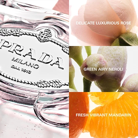 Image 1, delicate luxurious rose, green airy neroli, fresh vibrant mandarin. Image 2, les unfusions e prada, infusion d'rose. Image 3, les unfusions de prada, in fusion with you