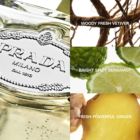 Image 1, woody fresh vetiver, bright spicy bergamot, fresh powerful ginger. Image 2, les unfusions e prada, infusion d'vetiver. Image 3, les unfusions de prada, in fusion with you