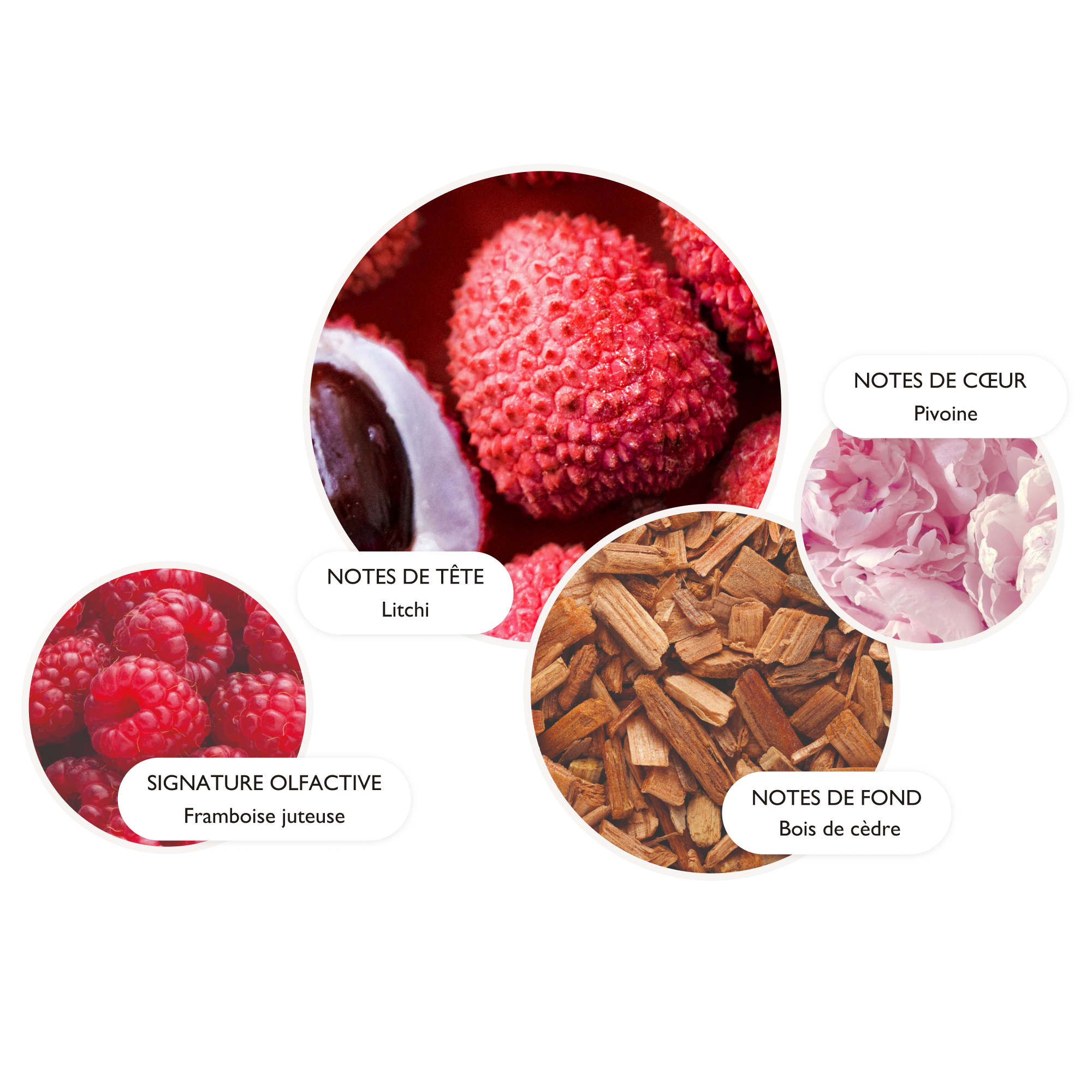 SIGNATURE OLFACTIVE Framboise juteuse NOTES DE TETE Litchi
              NOTES DE CCEUR Pivoine, rose et poivre rose NOTES DE FOND Bois de cedr
              