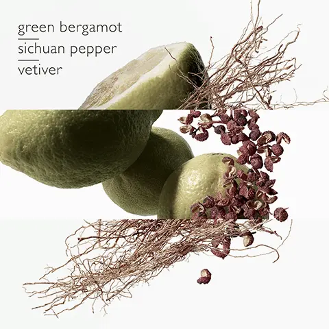 Image 1, Green bergamot, sichuan pepper and vetiver. Image 2, green bergamot. Image 3, sichuan pepper. Image 4, vetiver. Image 5, The range comparison