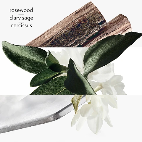 key scents = rosewood, clary sage and narcissus.
