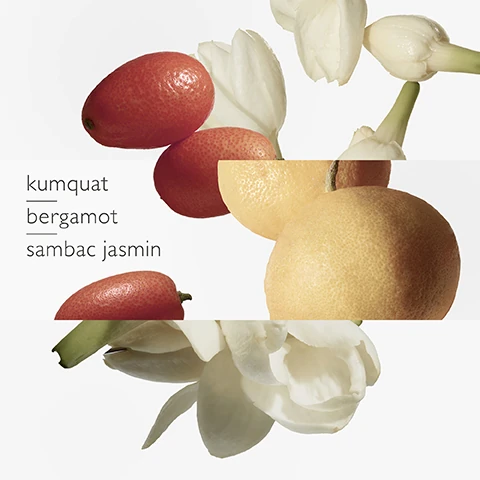 key scents = kumquat and bergamot, sambac jasmin.