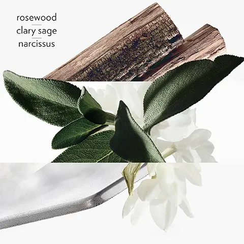 Image 1 -rosewood, clary shade, narcissus Image 2 -rosewood Image 3 -clary sage Image 4- narcissus Image 5- sclarene