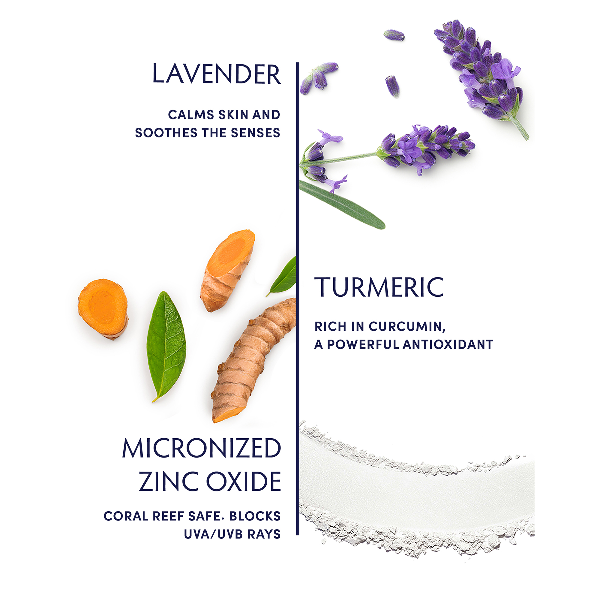 Lavender calms the skin and soothes the senses, Turmeric, rich is curcumin, a powerful anitoxidant, micronized zinc oxide, coral reef safe, blocks UVA/UVB rays 