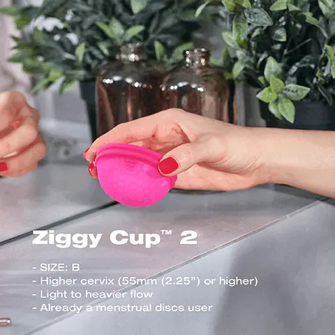 Image 1, ziggy cup 2, size - B, higher cervix 55mm or higher, light to heavy flow, already a menstrual disc user. Image 2, no leakage during intimacy, designed to collect everything from light to heavier flow and fit people with a higher cervix. perfect for mess free intimacy. Image 3, why switch to ziggy cup 2, ribbed tab for slip free removal, two sizes a and b, can be used for up to 2 years, antibacterial and hypoallergenic FDA approved, 100% medical grade silicone. Image 4, ziggy cup 2, front and back, leak proof double rim, hexagon pattern, ribbed tab. Image 5, squeeze, insert, placement, removal.