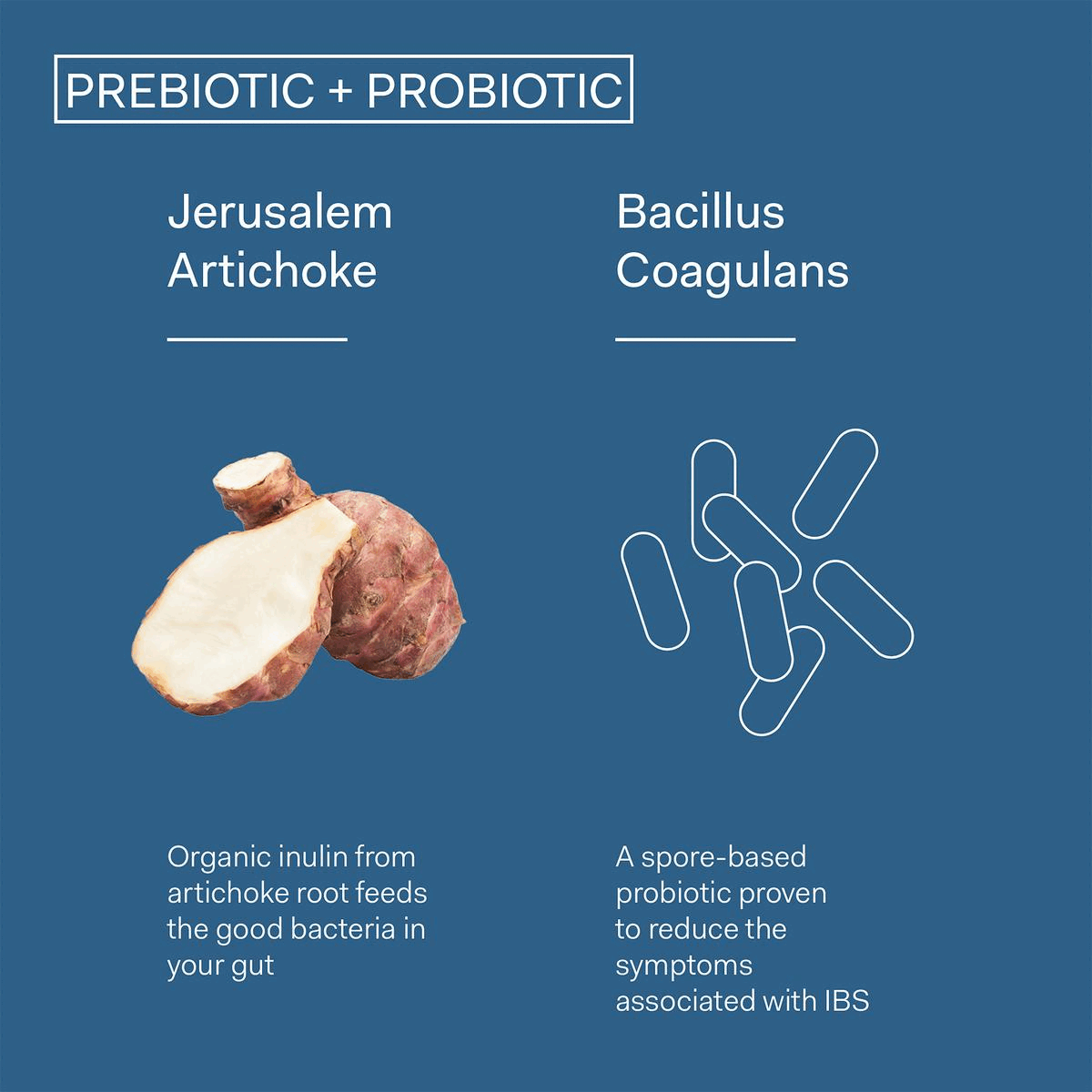 Prebiotic and probiotic comparison. Prebiotic and probiotic and Debloat comparison