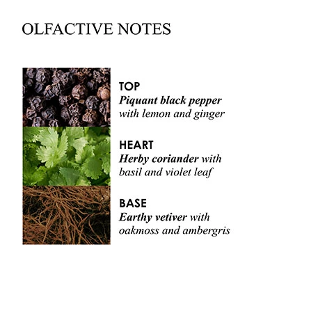 Olfactive Notes: Top: Piquant black pepper with lemon and ginger Heart: Herby coriander with basil and violet leaf Base: Earthy vetiver with oakmoss and ambergris
