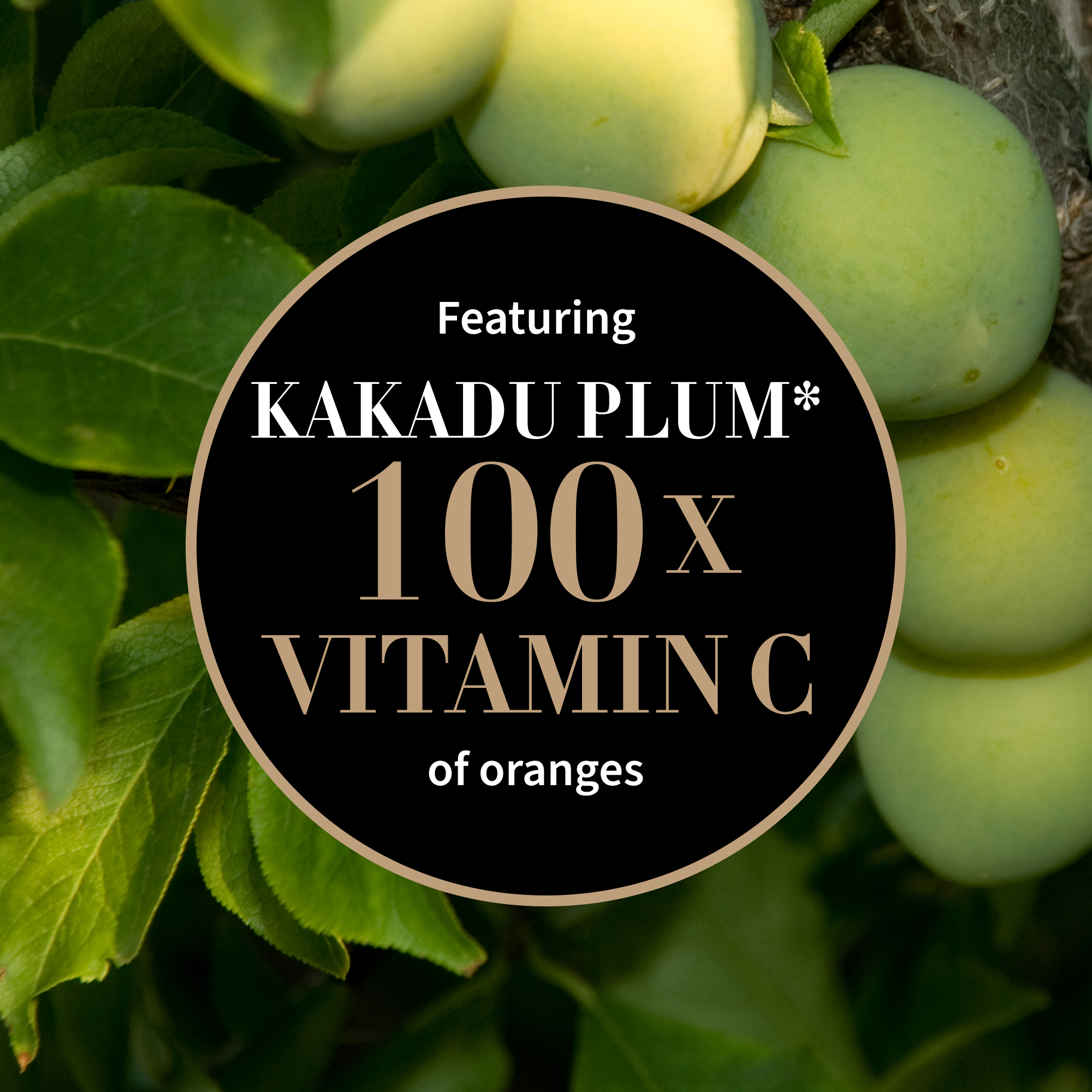 Featuring Kakadu plum* 100 x vitamin C of oranges