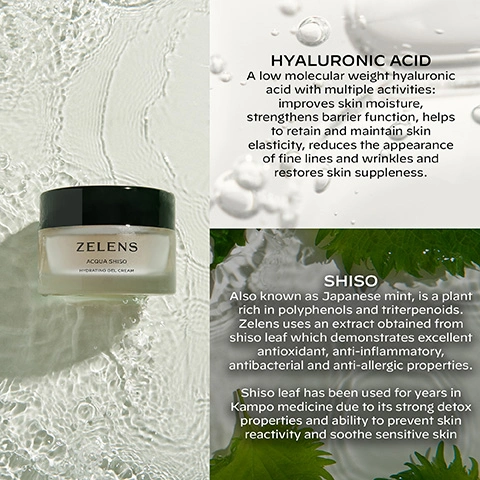 Image 3 - A Zelens Acqua Shiso Hydrating Gel Cream jar sits on a rippled water surface, accompanied by text detailing HYALURONIC ACID A low molecular weight hyaluronic acid with multiple activities: improves skin moisture, strengthens barrier function, helps to retain and maintain skin elasticity, reduces the appearance of fine lines and wrinkles and restores skin suppleness, and SHISO Also known as Japanese mint, is a plant rich in polyphenols and triterpenoids. Zelens uses an extract obtained from shiso leaf which demonstrates excellent antioxidant, anti-inflammatory, antibacterial and anti-allergic properties. Shiso leaf has been used for years in Kampo medicine due to its strong detox properties and ability to prevent skin reactivity and soothe sensitive skin. Image 4 - A three-step Zelens skincare routine is shown with a frosted dropper bottle labeled ZELENS POWER C VITAMIN C CONCENTRATE for STEP 1 BRIGHTEN POWER C, a frosted jar labeled ZELENS ACQUA SHISO HYDRATING GEL CREAM for STEP 2 HYDRATE ACQUA SHISO, and a white tube labeled ZELENS DAILY DEFENCE SUNSCREEN BROAD SPECTRUM SPF 30 HIGH PROTECTION UVB + (UVA) for STEP 3 PROTECT DAILY DEFENCE. Image 6 - A man wearing a dark blue cardigan over a white shirt is seated, looking forward, next to a pale pink panel containing the text A light, yet intensely hydrating moisturiser which gives skin a beautifully dewy, plumped look. It truly feels like a burst of water for thirsty skin DR MARKO LENS Zelens founder & formulator.