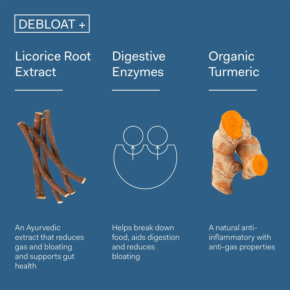 Image 1, ingredients and their benefits. Image 2, difference between prebiotic + probiotic vs debloat