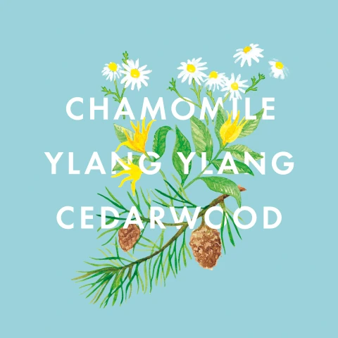 Chamomile, ylang ylang and cedarwood