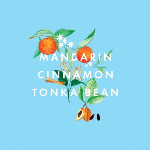 mandarin, cinnamon and tonka bean