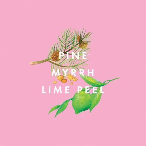 pine, myrrh and lime peel