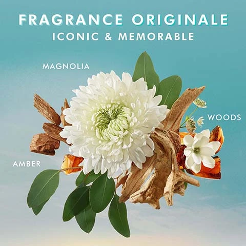 Image 1, fragrance originale, magnolia, woods and amber. Image 2, a duo for soft, supple hands. both infused with argan oil and hyaluronic acid to help hydrate and reduce the appearance of fine, dry lines. hand wash and hand cream.
