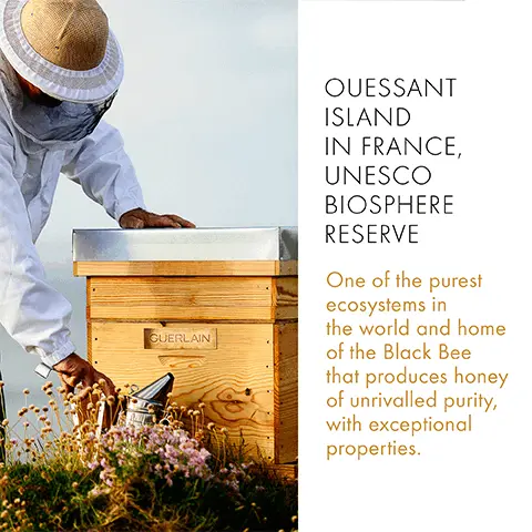 Image 1, Ouessant island in France, unesco biosphere reserve, one of the purest ecosystems in the world and home of the black bee that produces honest of unrivalled purity with exceptional properties. Image 2, Firming, lifting effect, wrinkle collection that ranges a youth watery oil, Double R renew and repair serum and night cream. Image 3, Abeille royale day and night cream ranges a day cream, rich day cream, mattifying cream and a night cream