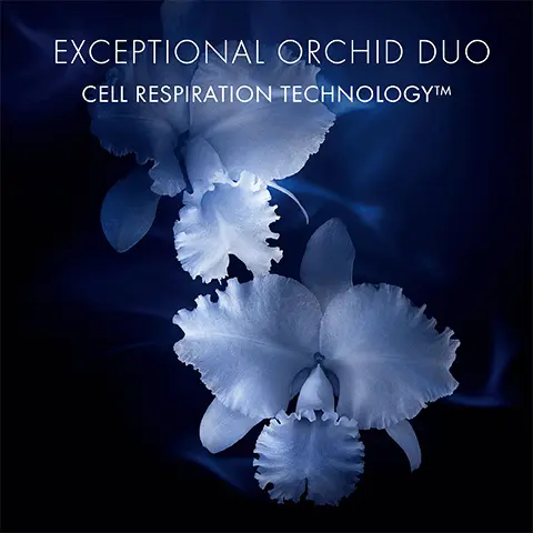 Exceptional orchid duo cell technology. Image 2, Exceptional complete care