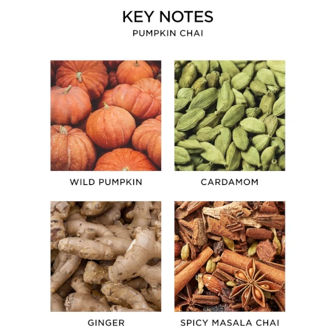 key notes pumpkin chai - wild pumpkin, cardamom, ginger and spicy masala chai.