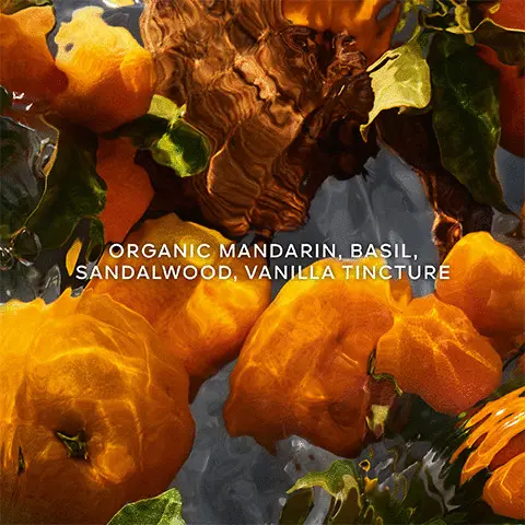 Image 1- Organic mandarin, basil, sandalwood and vanilla tincture. Image 2- A sparkling and luminous aromatic citrus, A woody fruity citrus. Image 3- Up to 95% natural origin, Infinity refillable and organic beetroot alcohol 