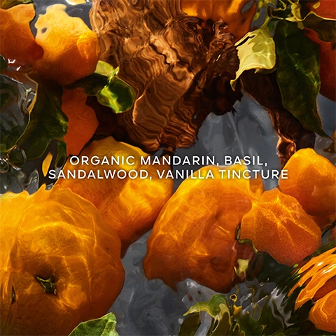 Image 1- Organic mandarin, basil, sandalwood and vanilla tincture.