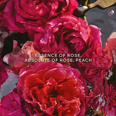 Essence of rose. Absolute of rose, Peach