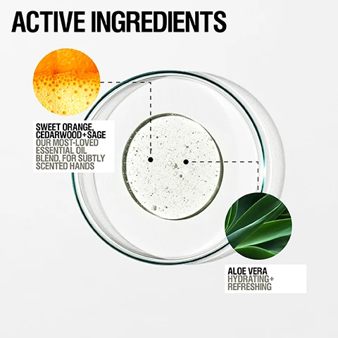 image 1, active ingredients. sweet orange, cedarwood and sage = our most loved essential oil blend for subtly scented hands. aloe vera = hydrating and refreshing. image 2, ultra effective hand cleansing. plant based surfactants. invigorating scent of sweet orange, cedarwood and sage. image 3, 96% agreed skin feels comfortably clean. 90% agreed cleanses without stripping. independent user trial 2022. results based on 54 over 2 weeks. image 4, customer review = so soft and non drying, i love that it doesn't dry out my hands and smells divine. image 5, how to use = massage into damp skin then rinse off. image 6, luxurious gel.