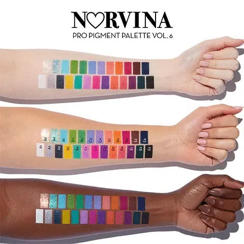 Norvina pro pigment volume 6. The image shows three arms and each. Each arm has coloured shades on it that are name via a letter and number: A1, A2, A3, A4, A5, B1, B2, B3, B4, B5, C1, C2, C3, C4, C5, D1, D2, D3, D4, D5, E1, E2, E3, E4 and E5.