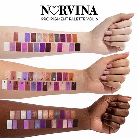 Norvina pro pigment volume 5. The image shows three arms and each. Each arm has coloured shades on it that are name via a letter and number: A1, A2, A3, A4, A5, B1, B2, B3, B4, B5, C1, C2, C3, C4, C5, D1, D2, D3, D4, D5, E1, E2, E3, E4 and E5.