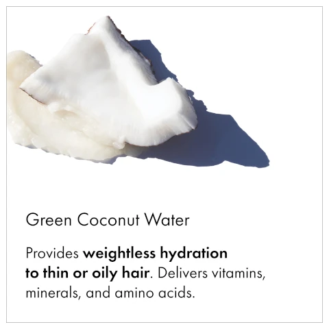 Green Coconut water provides weightless hydration to thin or oily hair. Delivers vitamins, minerals and amino acids.