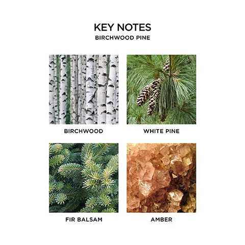 Key notes, Birchwood Pine. birchwood. White Pine. Fir Balsam. Amber.