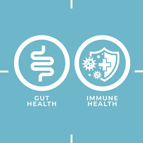 Gut health, immune health. Gut and immune bundle.