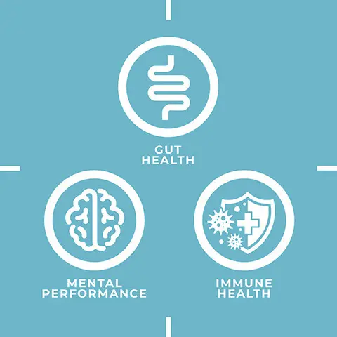 Gut health, mental performance, immune health. Wellness bundle.
