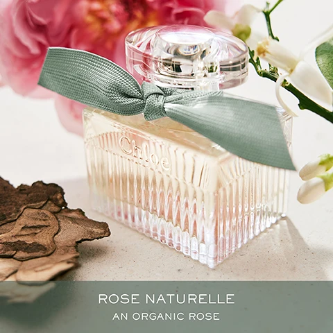 Image 1 - A glass perfume bottle with a light pink liquid, a textured surface, and a green ribbon is placed among soft pink flowers and natural elements, with visible text reading Rose Naturelle An Organic Rose.
              Image 2 - An instructional graphic showing the steps to refill a 100ml bottle for Chloé Rose Naturelle, featuring illustrations labeled 1 to 4 depicting the process and the text Chloé ROSE NATURELLE HOW TO REFILL YOUR 100ML BOTTLE.
              Image 3 - A display of four perfume bottles from Chloé surrounded by soft flowers, with text at the top reading Discover the signature fragrances and each bottle labeled: Eau de Parfum with Intimate, Sensual; Eau de Parfum Lumineuse with Feminine, Élegant; Rose Naturelle with Modern, Woody; and Rose Naturelle Intense with Intense, Woody.