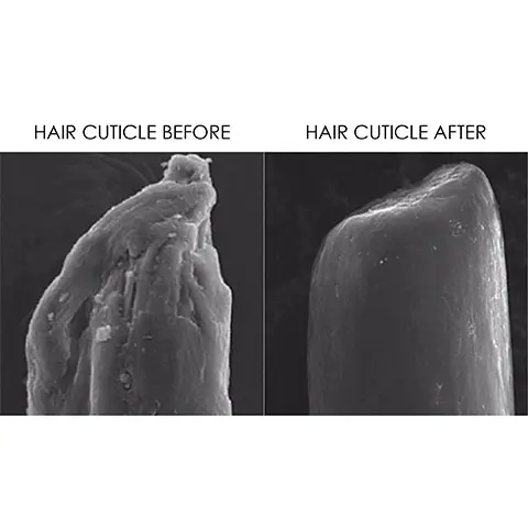 Image 1, Hair Cuticle Before vs Hair Cuticle After product use- after the cuticle appears smoother and thicker at the tip. Image 2, The Environment Comes First. Together with our updated carbon negative footprint from 2015 to 2021. We eliminate 35mm Pounds of GHG from being emitted to the environment. We save 44k Gallons of water from being wasted. We protect 57mm Trees from being deforested
