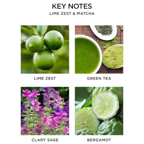 key notes lime zest and match. lime zest, green tea, clary sage and bergamot