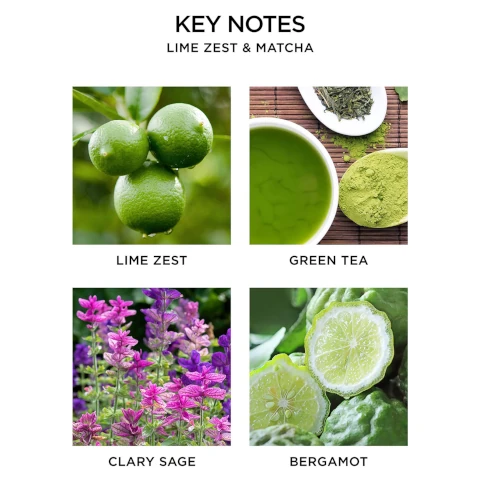 key notes lime zest and matcha, lime zest, green tea, clary sage and bergamot.