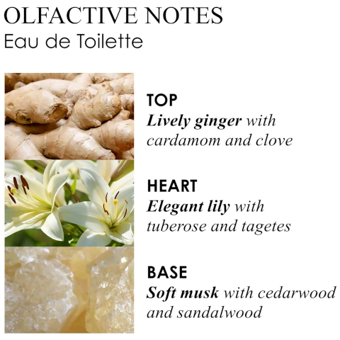 olfactive notes eau de toilette. top = lively ginger with cardamom and clove. heart = elegant lily with tuberose and tagetes. base = soft musk with cedarwood and sandalwood.