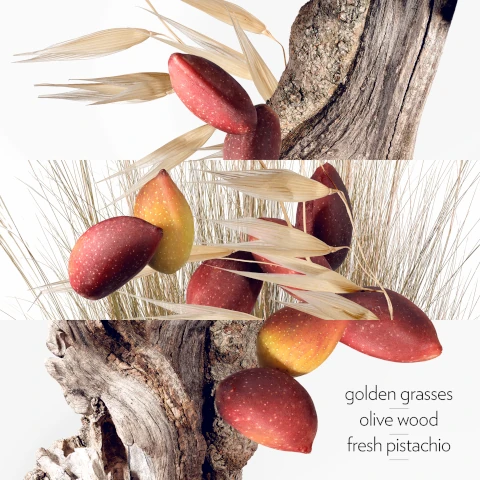 golden gradd, olive wood, fresh pistachio