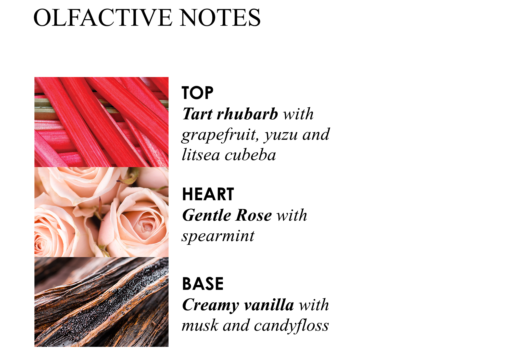 olfactive notes. top tart rhubarb with grapefruit, yuzu and litsea cubeba. Heart gentle rose with spearmint. Base creamy vanilla with musk and candyfloss
