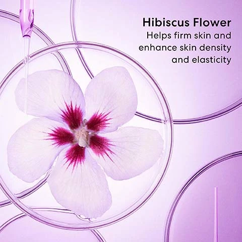 hibiscus flower helps firm skin and enhance skin density and elasticity.