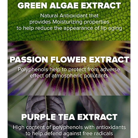 Green Algae Extract, Natural Antioxidant provides moisturising properties to help reduce the appearance of lip aging. Passion Flower Extract, Polyphenols help to protect from adverse effect of atmospheric pollutants. Purple Tea Extract, High content of polyphenols with antioxidants to help defend against free radicals.