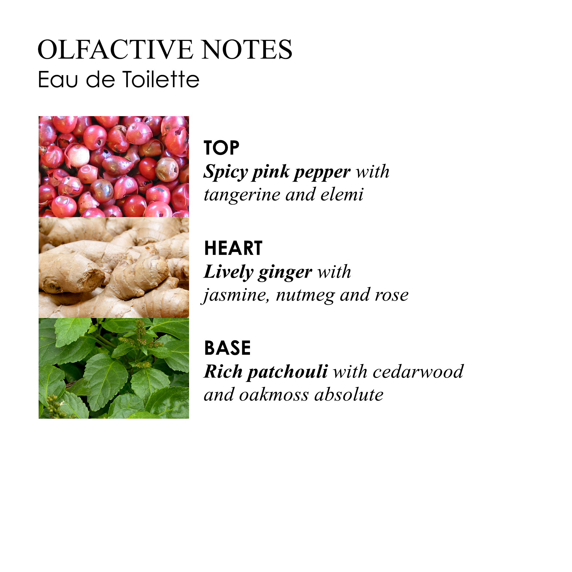 Olfactive Notes Eau de Toilette, Top spicy pink pepper with tangerine and elemi, Heart lively ginger with jasmine, nutmeg and rose, Base rich patchouli with cedarwood and oakmoss absolute.