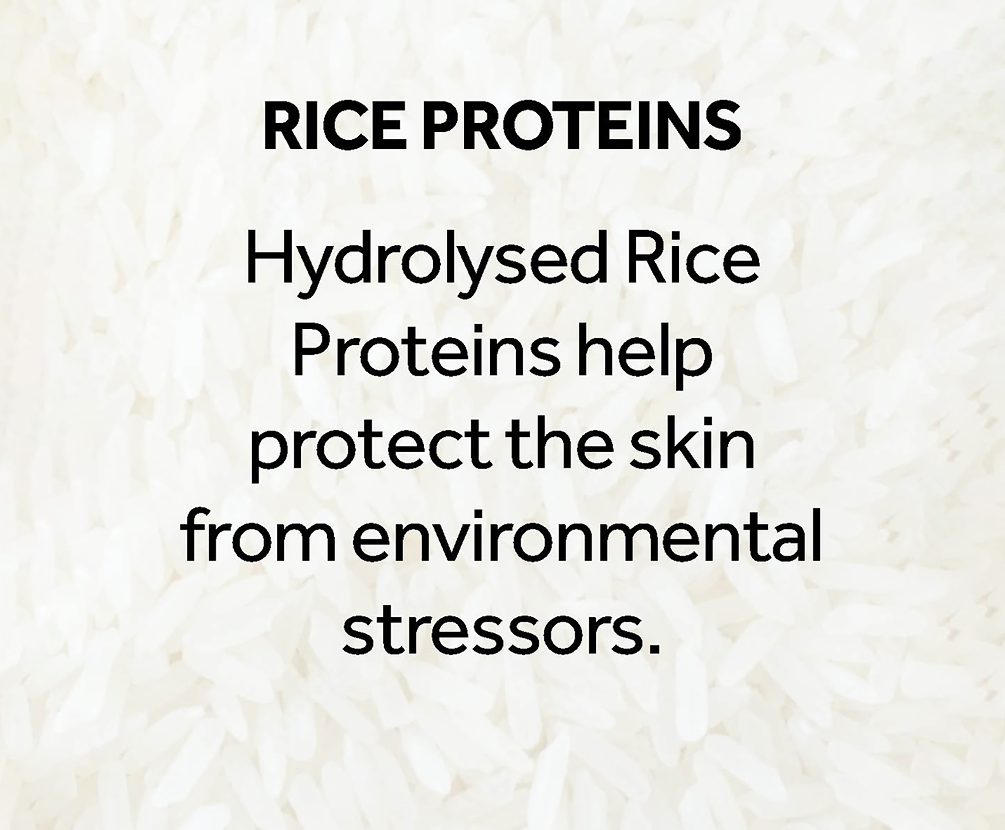 Rice proteins. Hydrolysed Rice Proteins help protect the skin from environmental stressors.