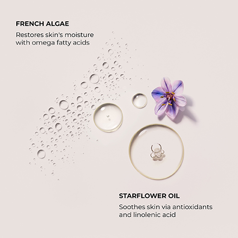 French Algae restores skin's moisture with omega fatty acids and starflower oil soothes skin via antioxidants and linolenic acid