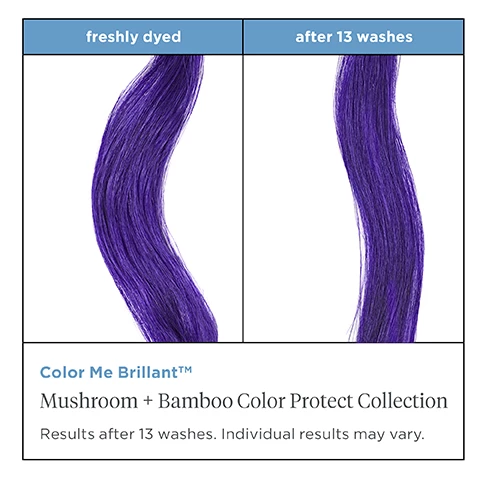 Image 1-2, freshly dyed vs after 13 washes. color me brillant, mushroom and bamboo color protect collection, results after 13 washes, individual results may vary. Image 3, color protection complex, unique complex of turkey tail mushroom and bamboo leaf extract that protects hair against color fade. flaxseed, apricot plus sunflower oils, enhances softness, shine and vibrancy. vitamin B5 enhances hair elasticity, moisture retention plus flexiabiliy. Image 4, freedom from fading, cleanses, protects and extends time between color treatments. Image 5, colour that goes the extra mile. a clean system that helps protect hair from color fade and maintain vibrancy longer.