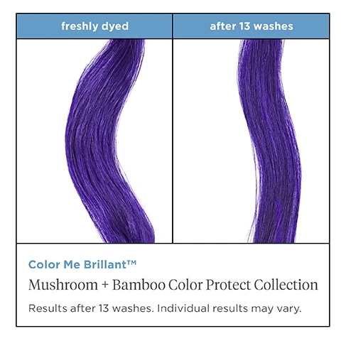 Image 1-2, freshly dyed vs after 13 washes. color me brillant, mushroom and bamboo color protect collection, results after 13 washes, individual results may vary.Image 3, protect and opreserve color. scientifically proven to protect hair from heat styling up to 450 f. Image 4, color protection complex, unique complex of turkey tail mushroom and bamboo leaf extract that protects hair against color fade. flaxseed, apricot plus sunflower oils, enhances softness, shine and vibrancy. vitamin B5 enhances hair elasticity, moisture retention plus flexiabiliy. Image 5, reduces chemical and heat damage. up to 450 f by prolonging the time between color treatments. Image 6, colour that goes the extra mile. a clean system that helps protect hair from color fade and maintain vibrancy longer.