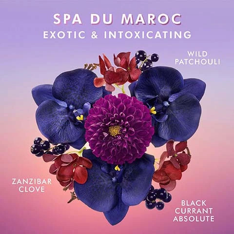spa du maroc, exotic and intoxicating, wild patchouli, zanzibar clove, blackcurrent absolute.