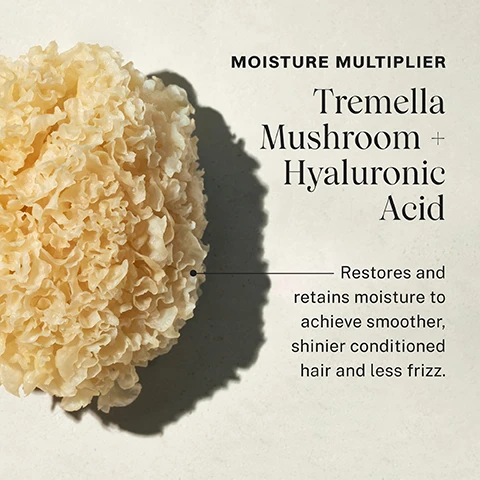 Image 1, moisture multiplier, tremella mushroom and hyaluronic acid, restore and retains moisture to achieve smoother, shinier conditioned hair and less frizz. Image 2, complete conditioning mist, wet vs dry. wet = mist on strands after washing and conditioning, untangles and unknots hair., easier combing and enhanced elasticity. dry = apply to dry strands for a quick refresh, light mist won't weigh strands down, smooth and rehydrate dry strands. Image 3, black spruce bark extract, provides protection from UV and heat. temella mushroom and hyaluronic acid, retains 500 times and 1000 times its weight in moisture. brassica seed polymer, helps detangle and smooth with adding luster and shine. Image 4 and 5, without vs with complete conditioning mist.