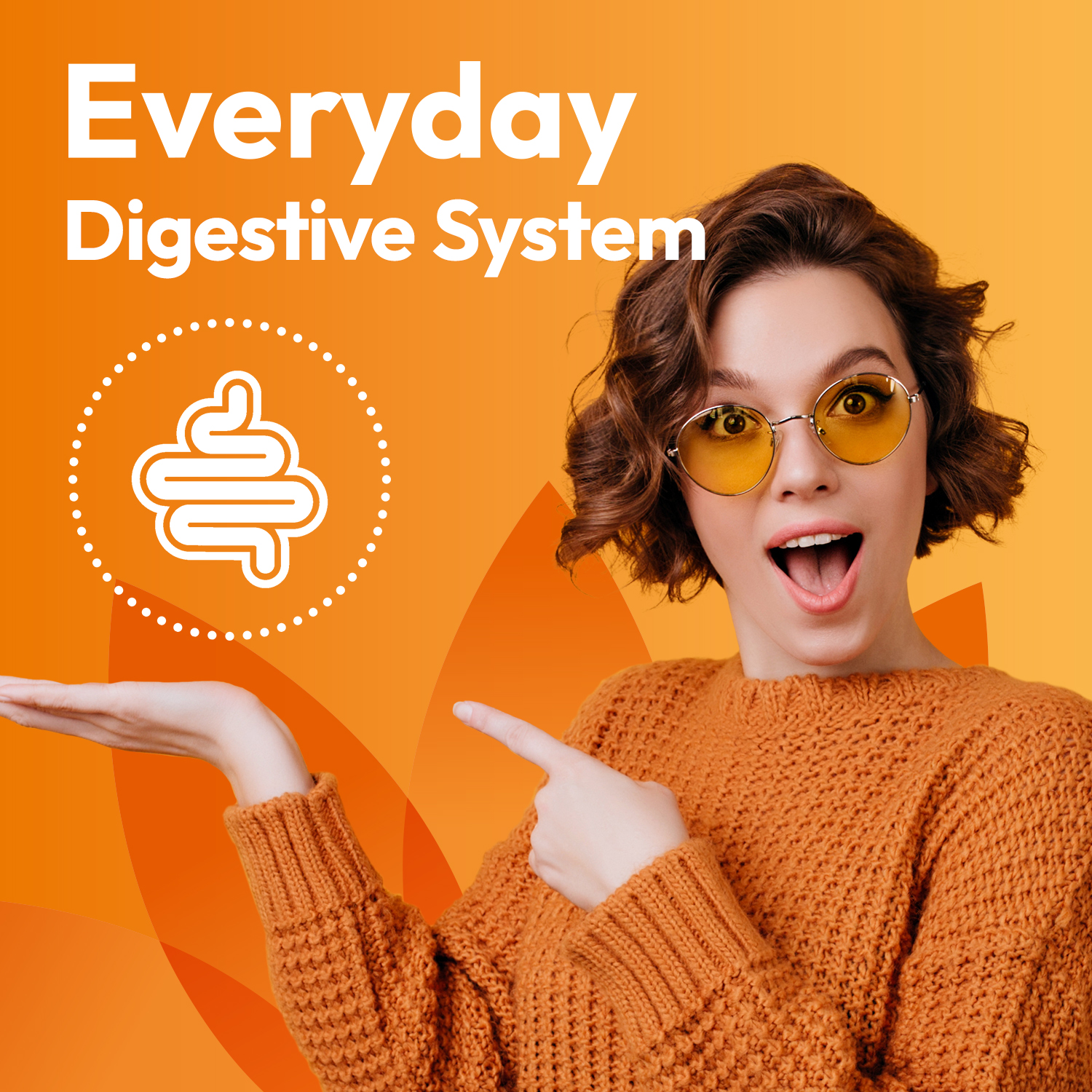 Everyday Digestive system